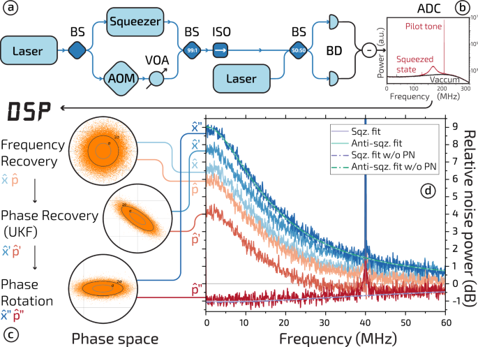 Digital reconstruction of squeezed light
